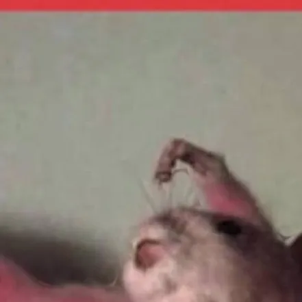 chat with ai character: New nightmare