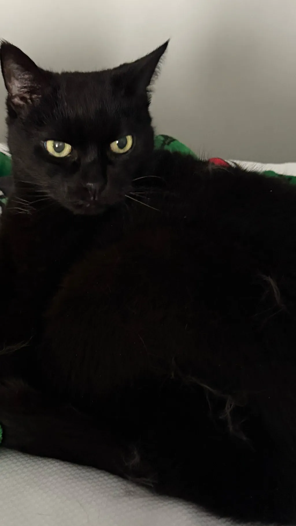 ai character: Guess who’s back  background