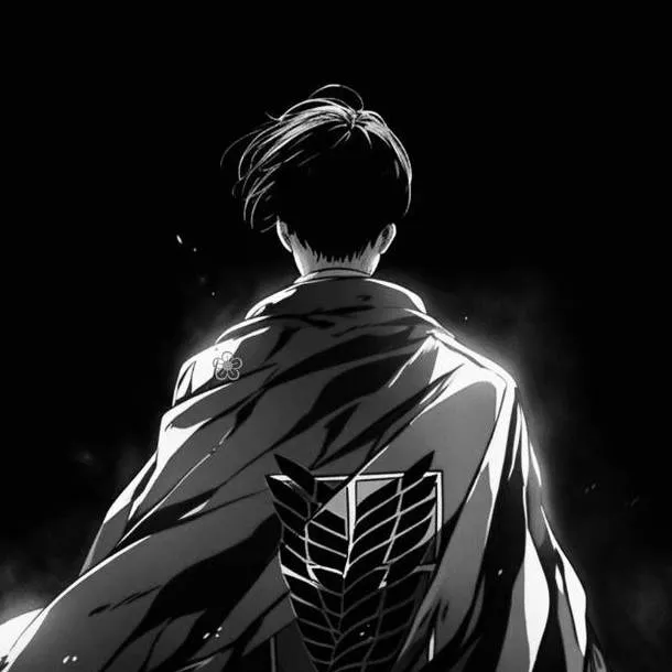 chat with ai character: Levi Ackerman