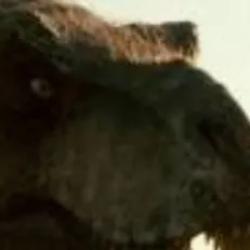 chat with ai character: Rexy