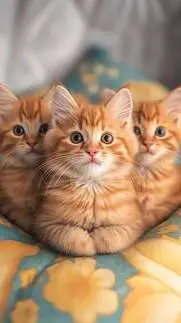 ai character: Kittens background