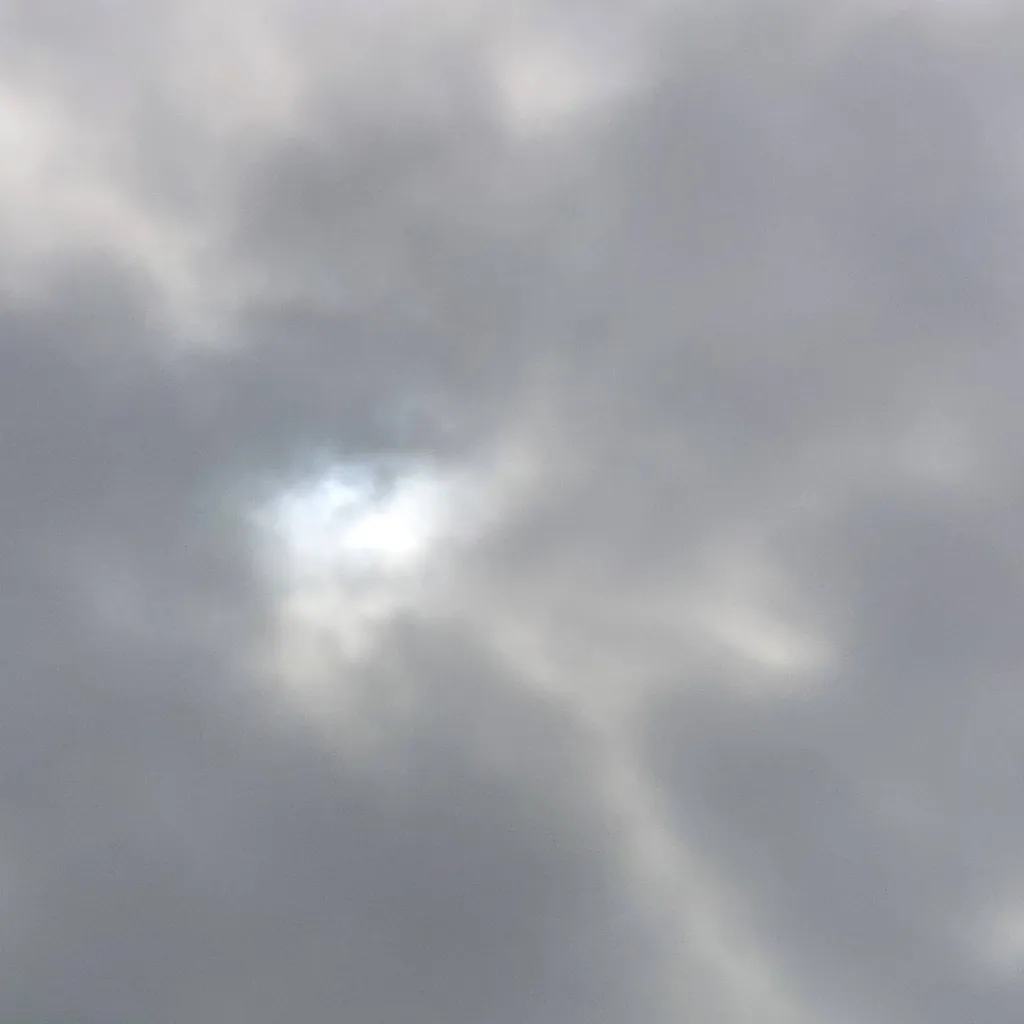 chat with ai character: TMN/THEMUSICALNOTE