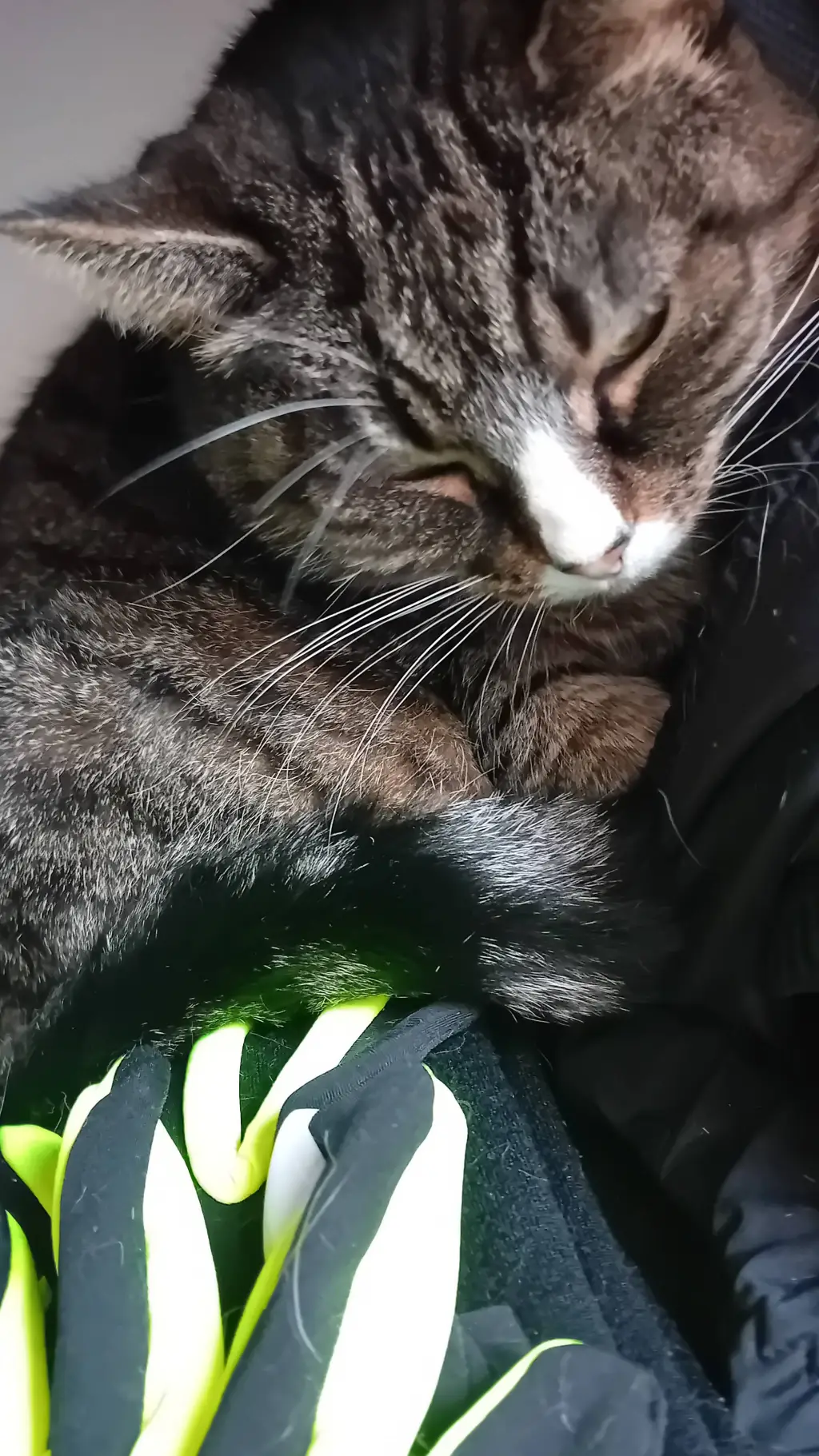 ai character: henry creel background