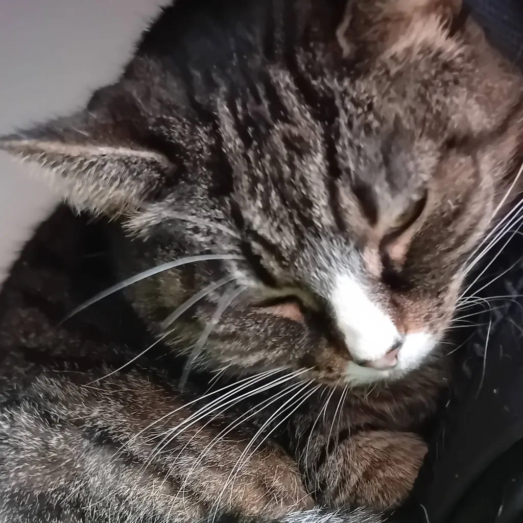 chat with ai character: henry creel