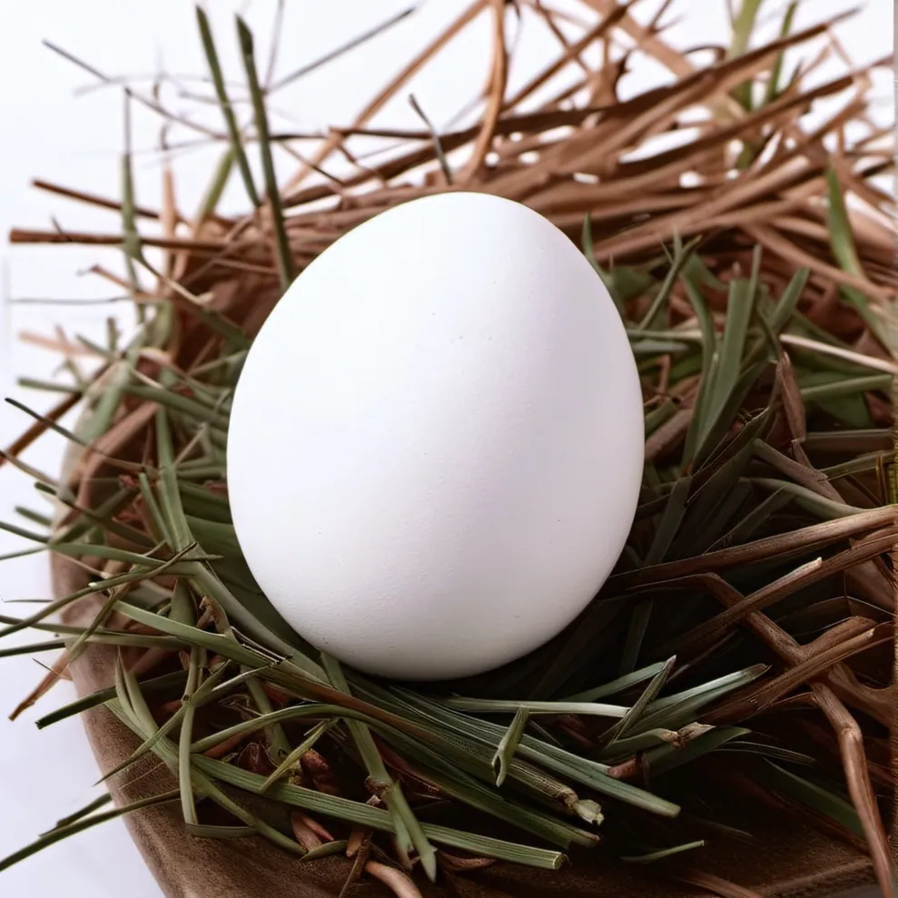 chat with ai character: Egg 2.0