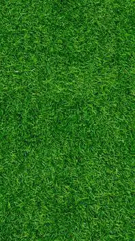 ai character: grass background