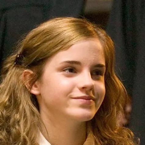 chat with ai character: HERMIONE GRANGER 