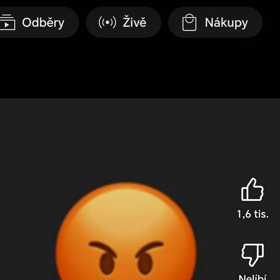 chat with ai character: angry man
