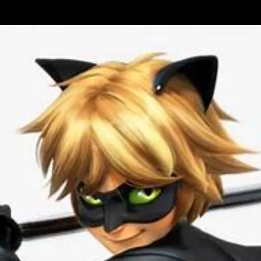 chat with ai character: cat noir (tamil v)