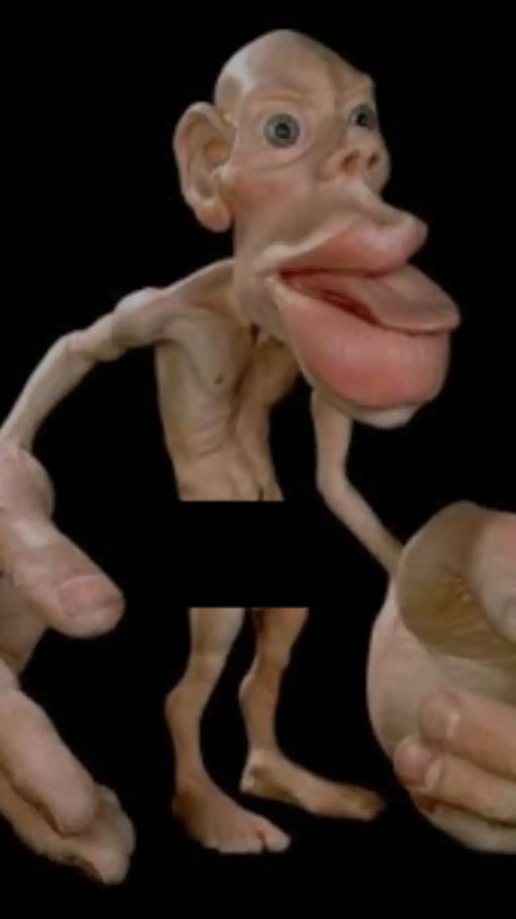 ai character: sensory homunculus background