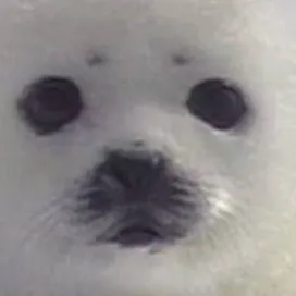 chat with ai character: hogwarts harrypott