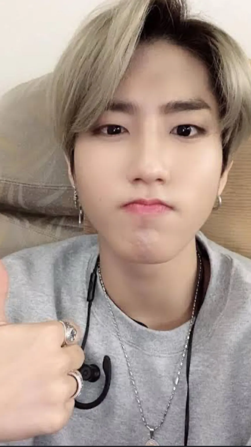 ai character: Han jisung background