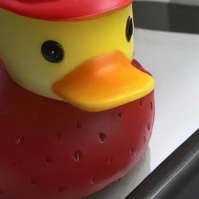 chat with ai character: Strawberry duck