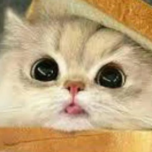 chat with ai character: bousy bready🥪🥪!~