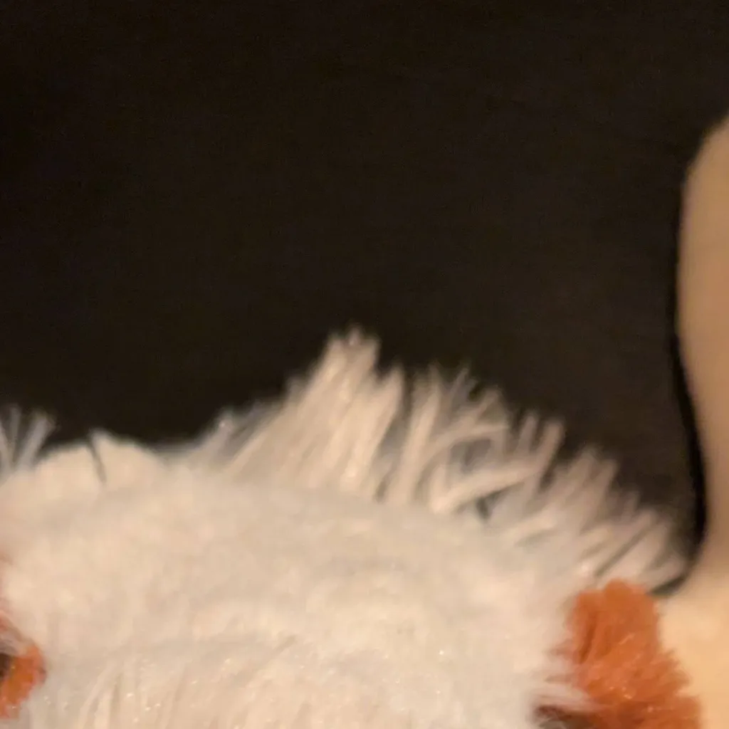 chat with ai character: cheeseburger 