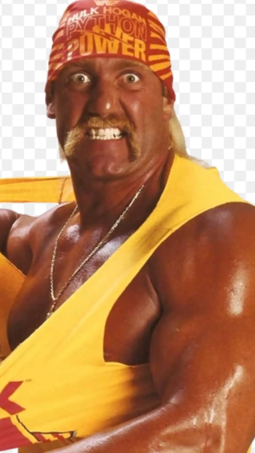 ai character: hulk Hogan  background