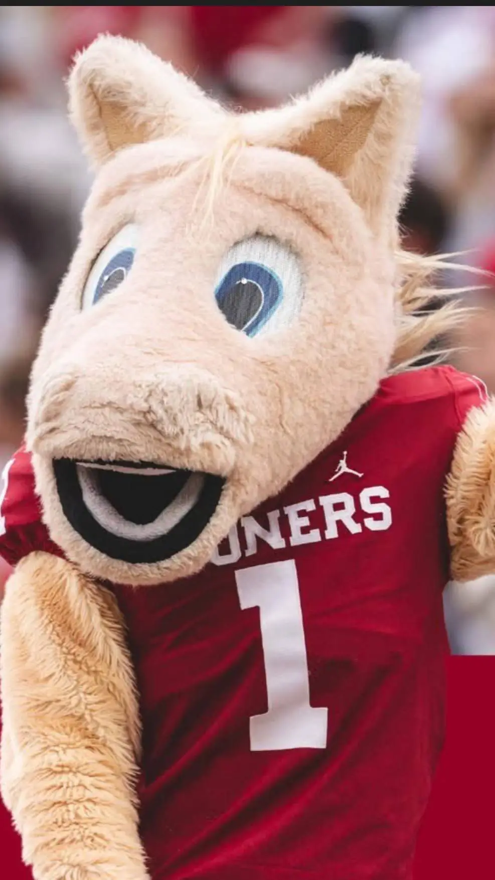 ai character: Boomer ou background