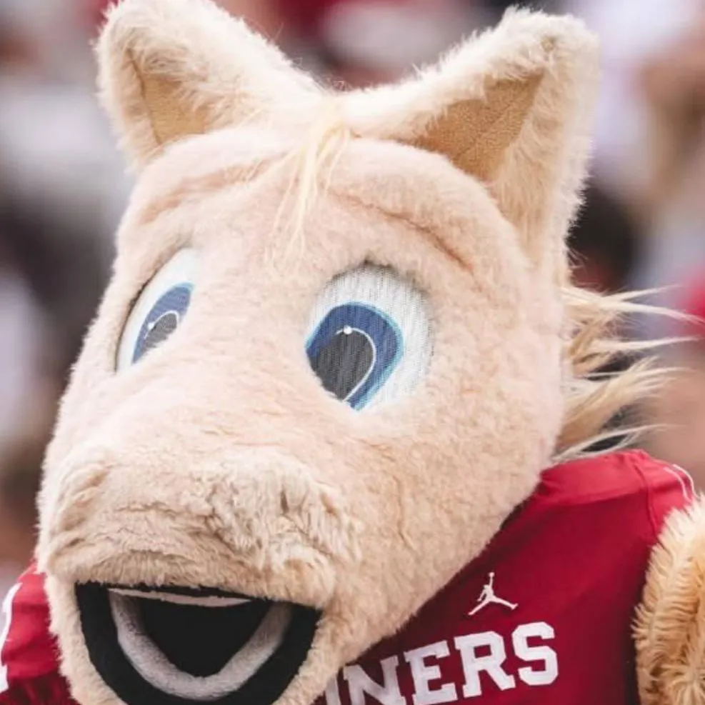 chat with ai character: Boomer ou