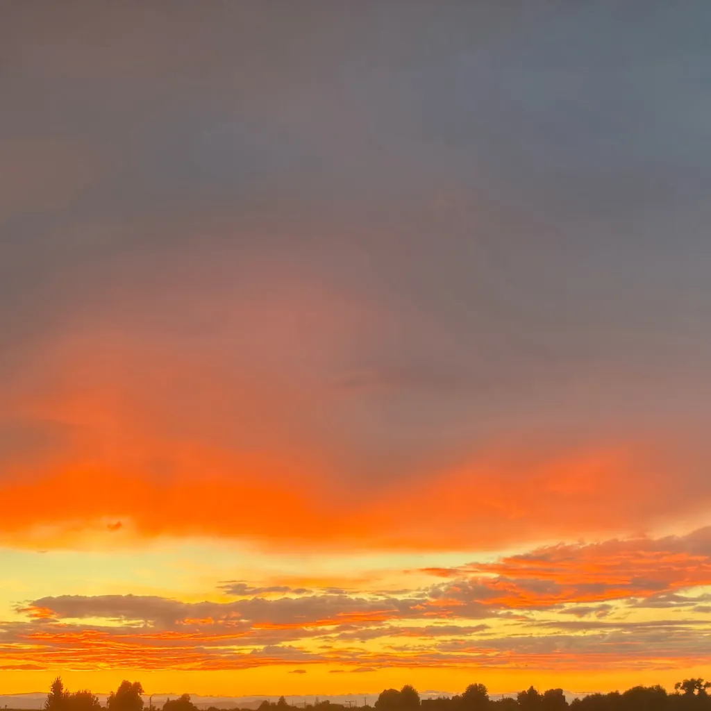 chat with ai character: Matt and Hannah 