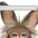 chat with ai character: Idk 