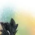 chat with ai character: baby tokoyami