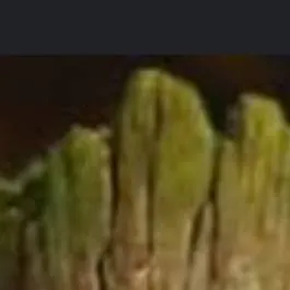 chat with ai character: Groot
