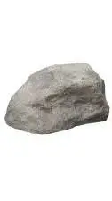 ai character: pet Rock background