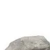 chat with ai character: pet Rock