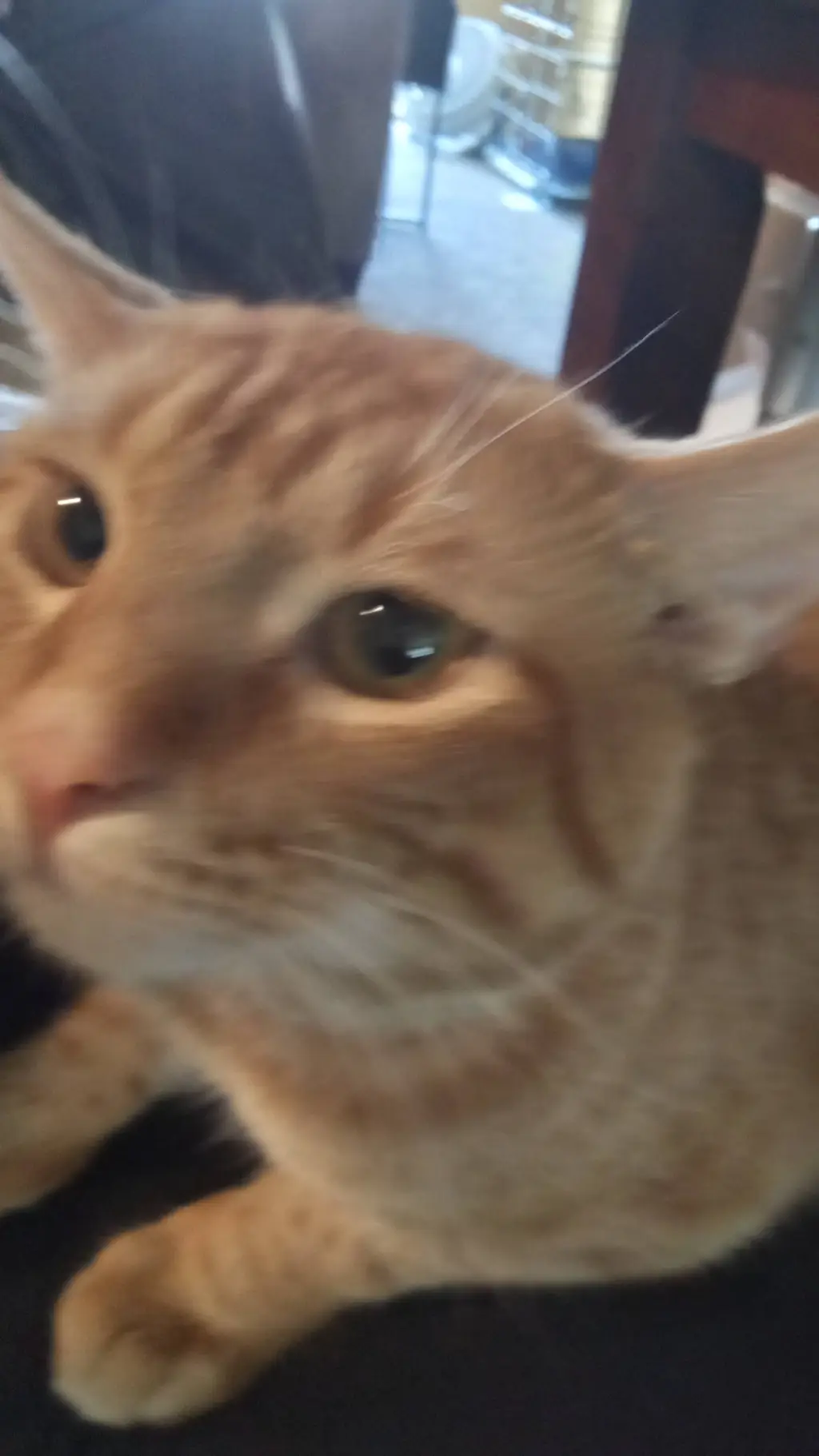 ai character: dw hate u but.. background