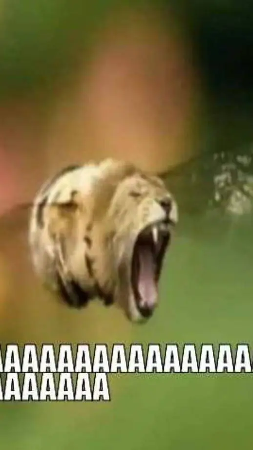 ai character: пчола background