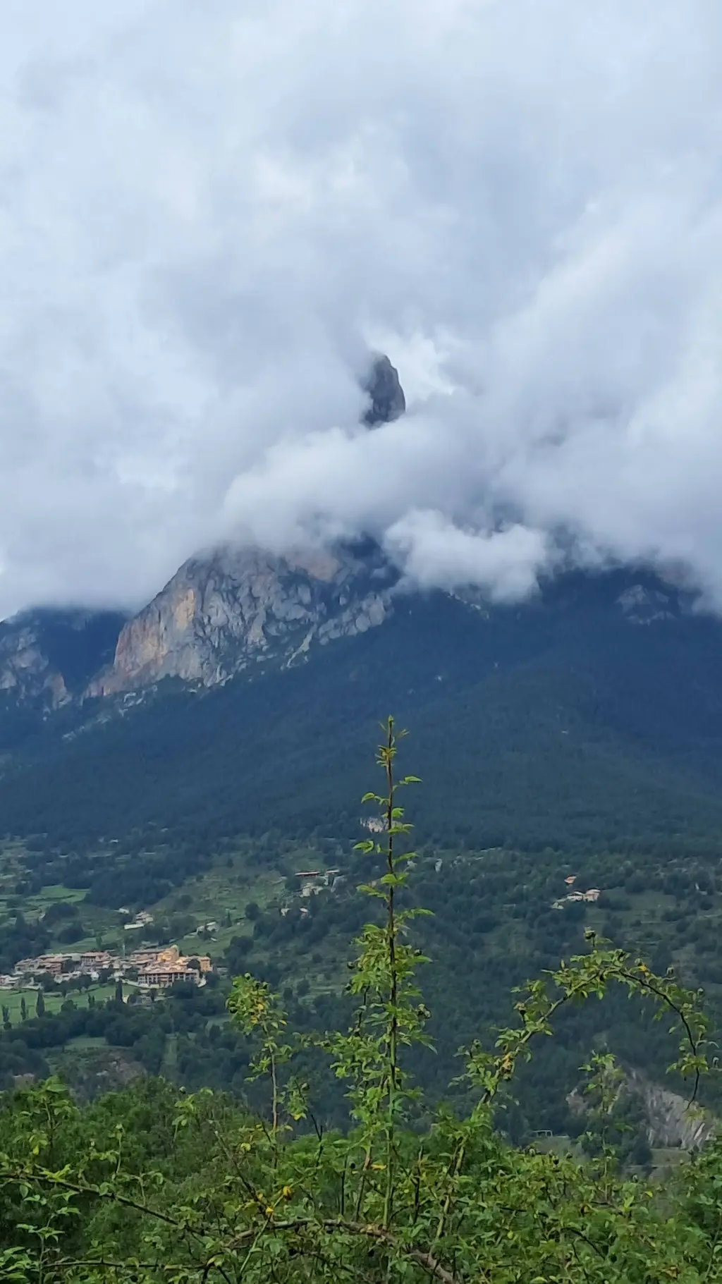 ai character: NUEVA PILAR 🤯 background