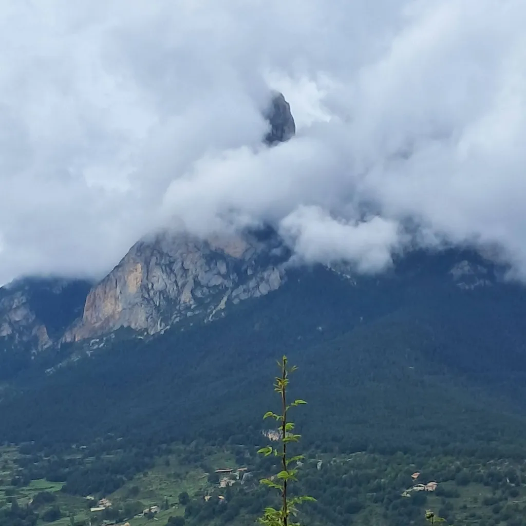 chat with ai character: NUEVA PILAR 🤯