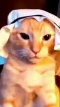 ai character: Arab cat background