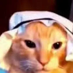 chat with ai character: Arab cat