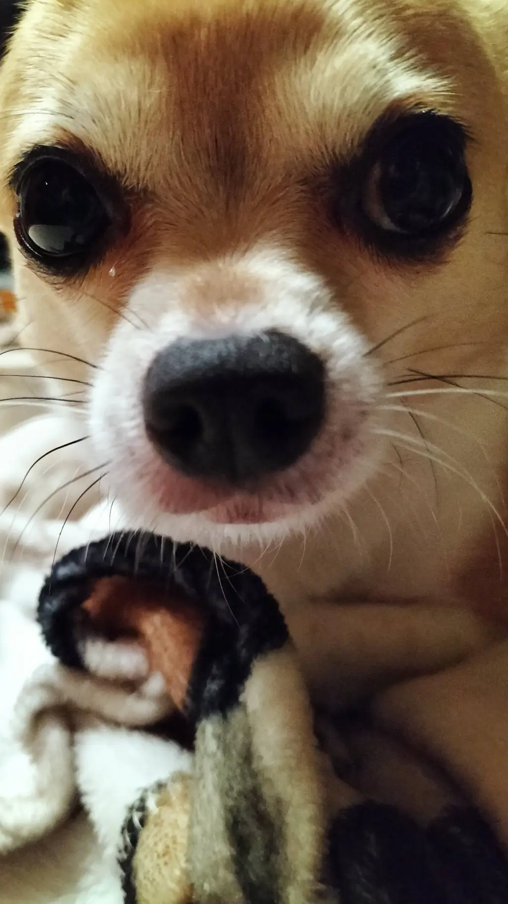 ai character: P1Harmony background