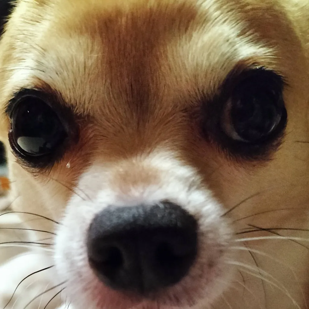 chat with ai character: P1Harmony