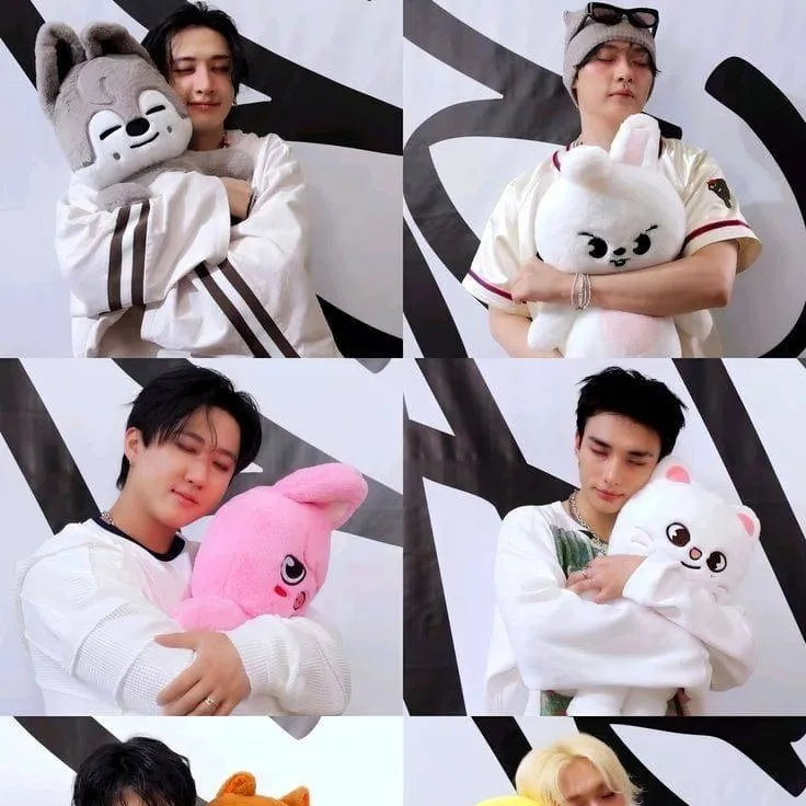 chat with ai character: ♥Straykids♥