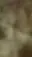 ai character: ???????? background