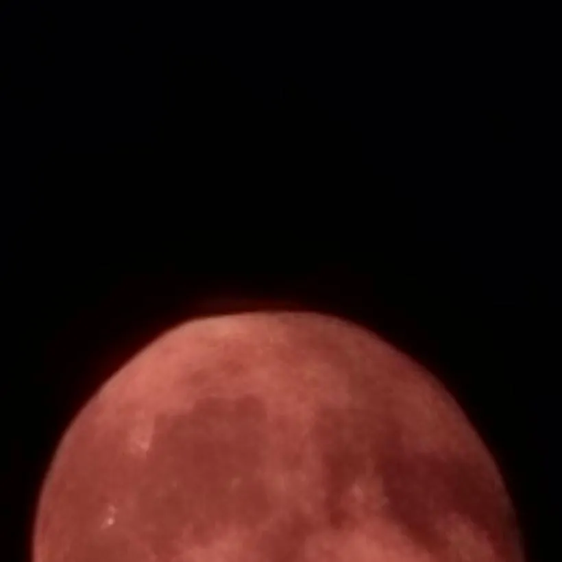 chat with ai character: Im Sorry..