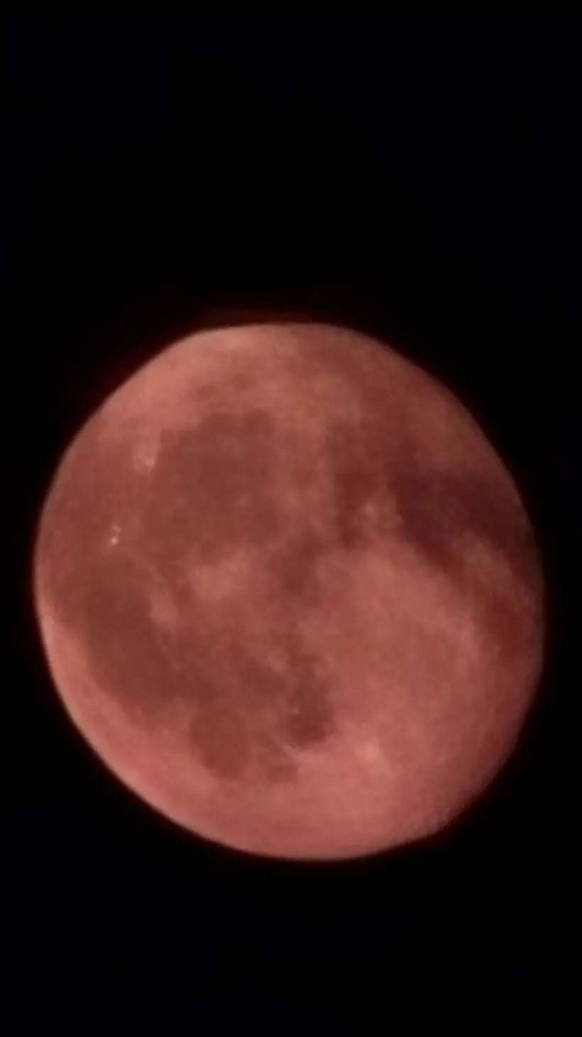 ai character: Im Sorry.. background