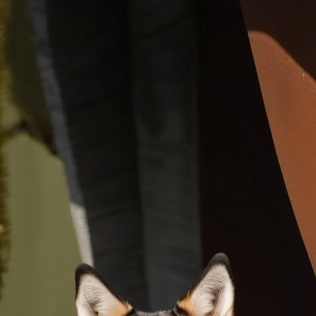 chat with ai character: Tokyo revengers 