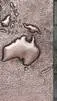 ai character: Oceanian CH background