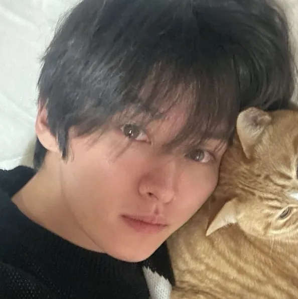 chat with ai character: Lee know (skz) 