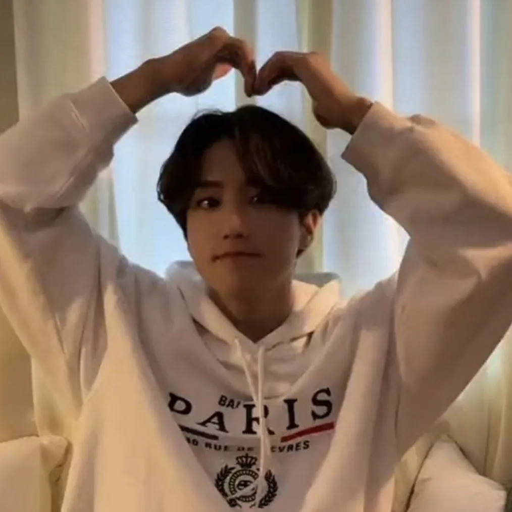 chat with ai character: Han Jisung (skz) 