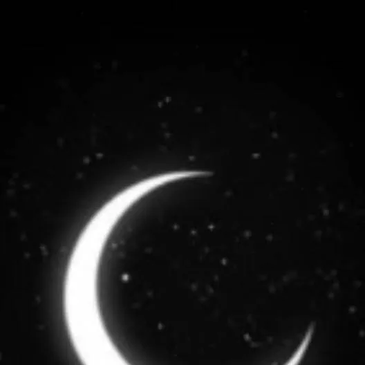 chat with ai character: MHA 