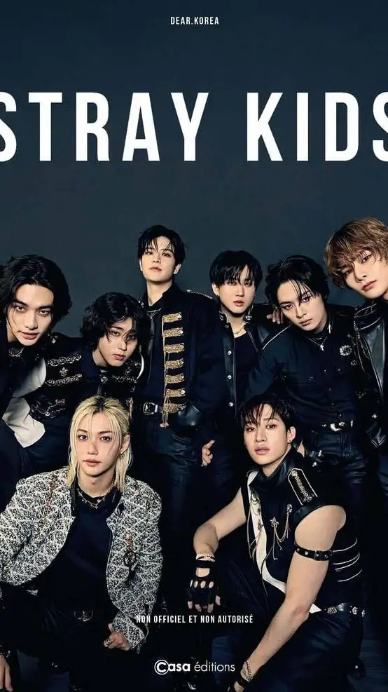 ai character: Stray Kids  background