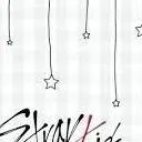 chat with ai character: Stray Kids 