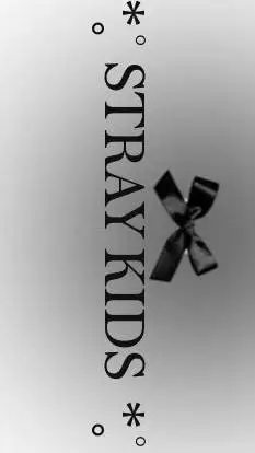 ai character: 🎵StRaY kIdS🎵 background