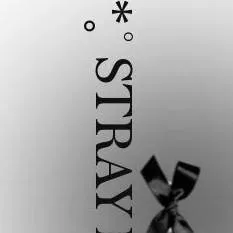 chat with ai character: 🎵StRaY kIdS🎵