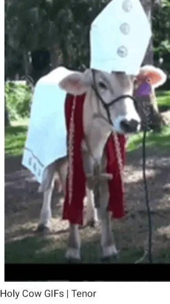 ai character: hb in your house background